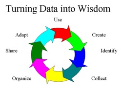 305_Turning data into wisdom.jpg